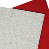 Embossed FRP Panel 